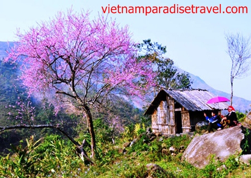 Sapa- LaoCai - Vietnam