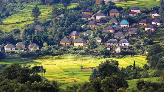 Giant Mushroom Houses in Lao Cai Province