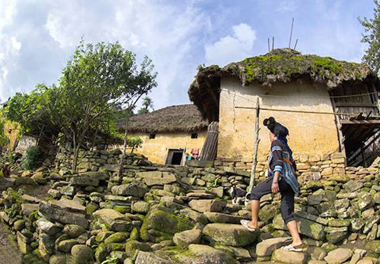 Giant Mushroom Houses in Lao Cai Province