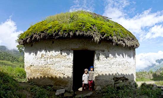 Giant Mushroom Houses in Lao Cai Province