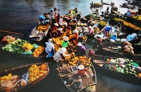 Mekong Delta 