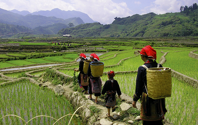 Environmentally Conscious Travel in Vietnam