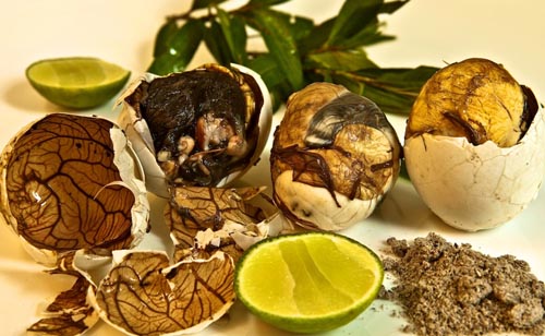 Balut - Trung Vit Lon