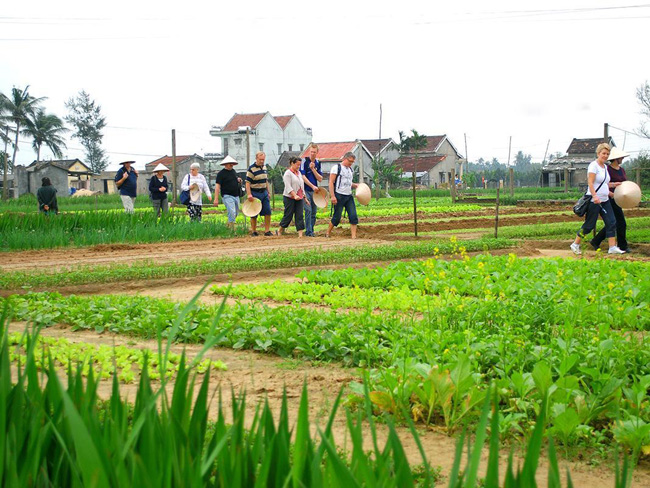 Tra Que Village, Hoian Tra Que vegetable village in Hoian