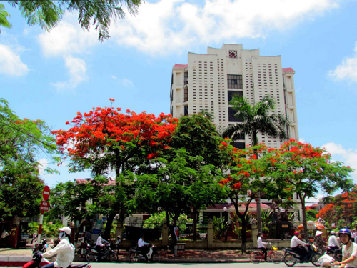 Hai Phong 