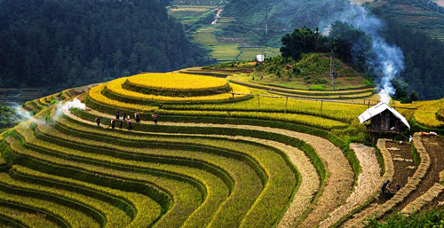 Stunning terraced paddy field in Mu Cang Chai