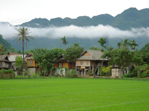 Mai Chau Mai Chau