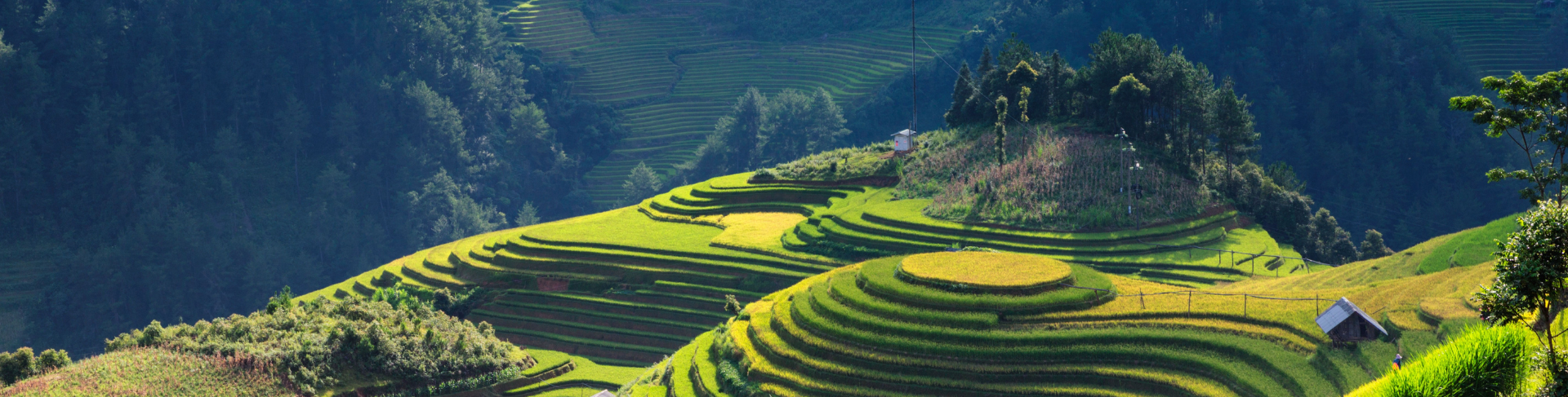 HaLong