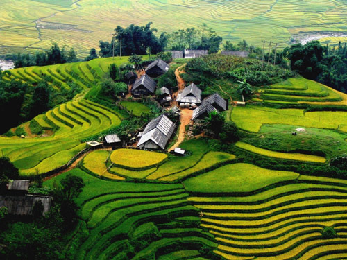 Beautiful rice terraces in Sapa