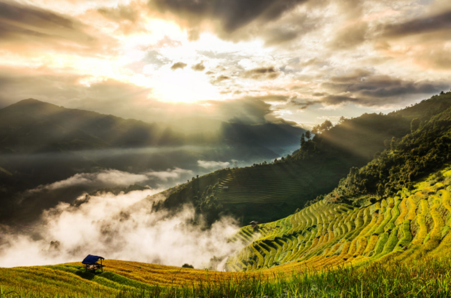 Breath-taking view of Mu Cang Chai at sunrise