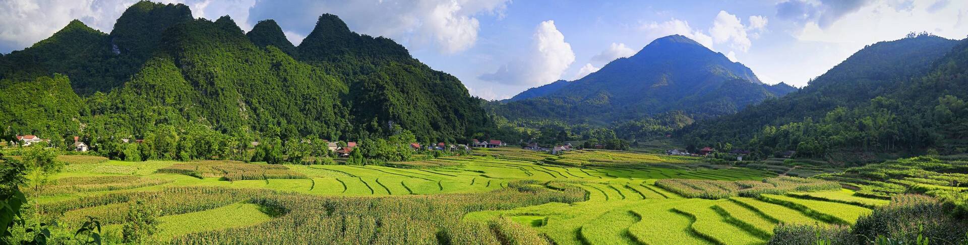 halong