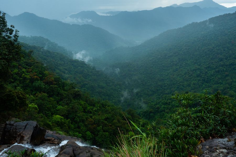 Parc national de Bach Ma, massif montagneux au sud de Hué