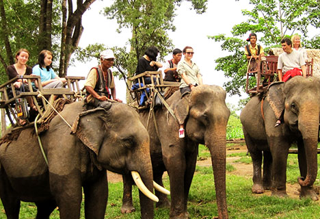 Elephant riding in Central highland Vietnam