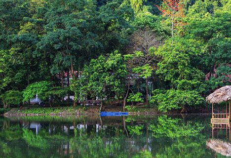 Cat Tien National Park