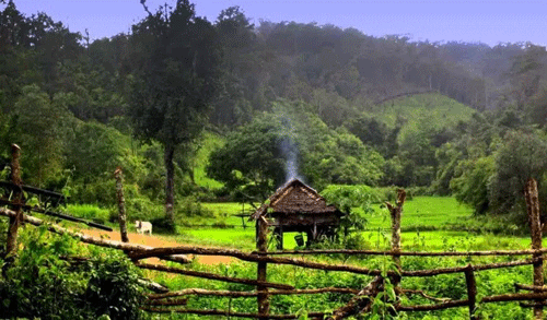 Chiang Mai - Thailand Travel Guide