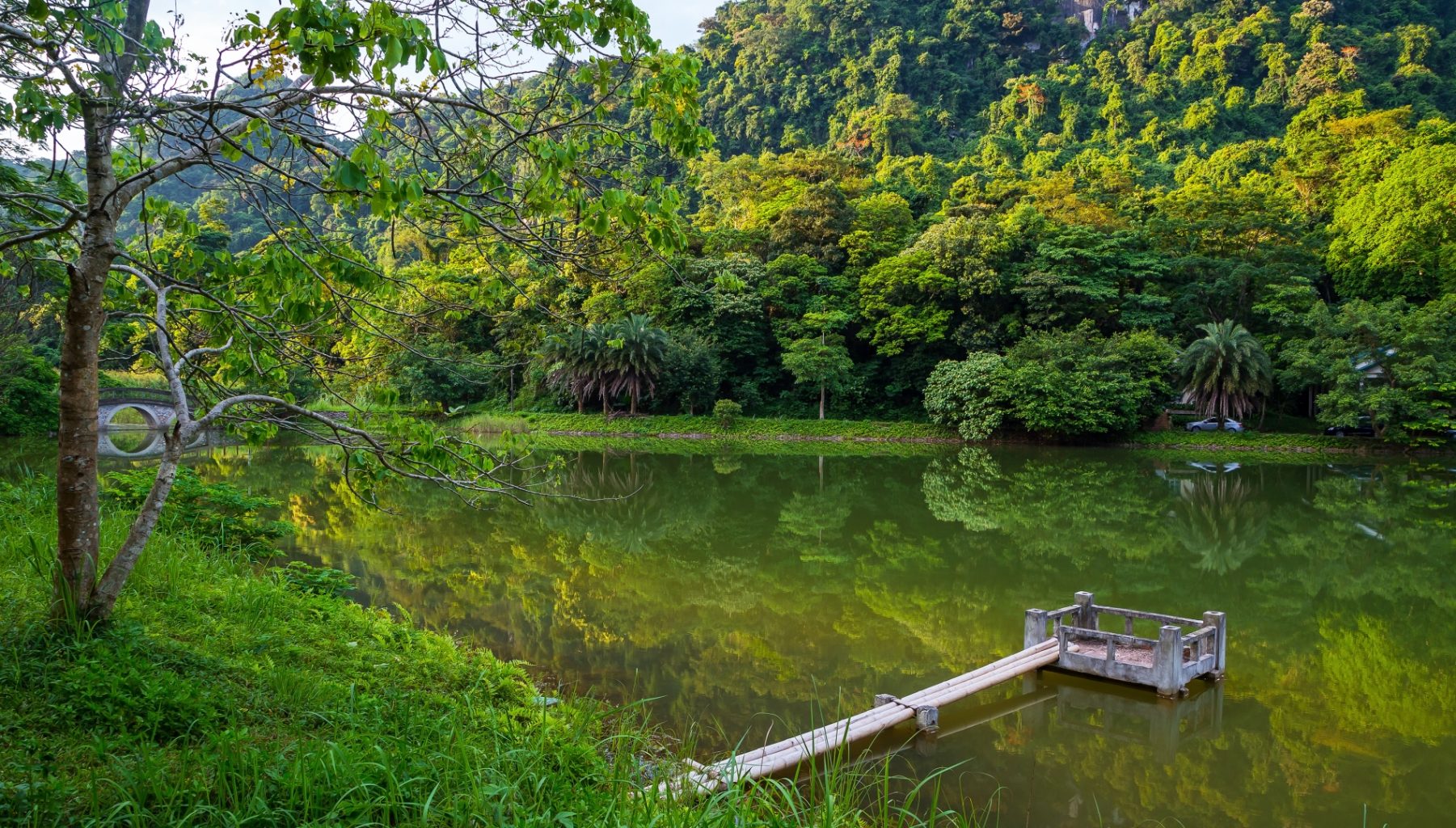 Cuc Phuong National Park