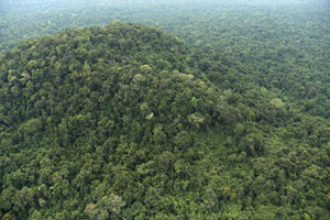 Cardamom Mountains