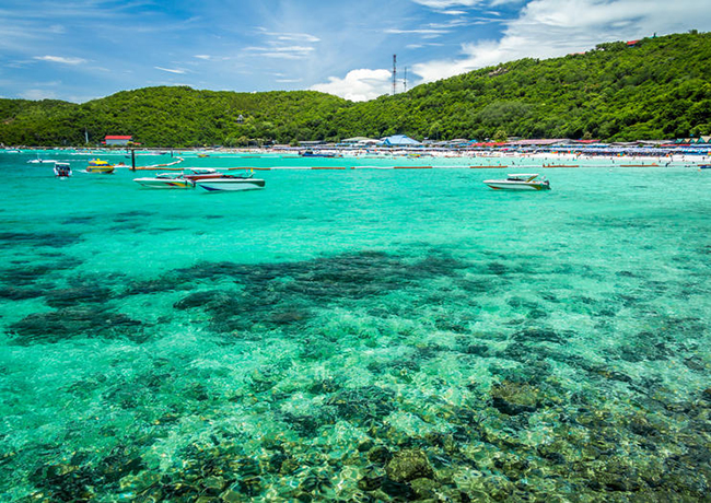 Natural coral reefs at Coral Island