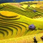 Dien Bien Travel Guide – A lyrical and history-rich land in Vietnam