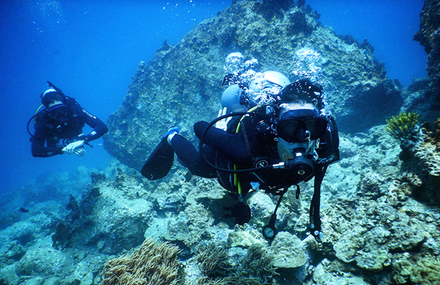 Diving in Madonna Rock, Nha Trang