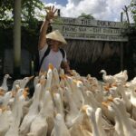 The Duck Stop Vietnam: A Unique Journey with Ducks in Phong Nha