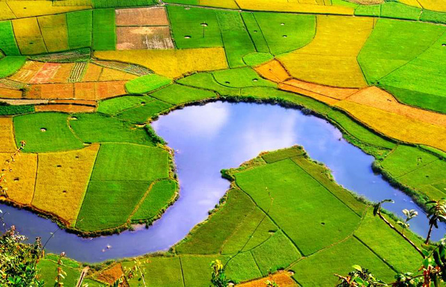 Beautiful rice fields in Bac Son