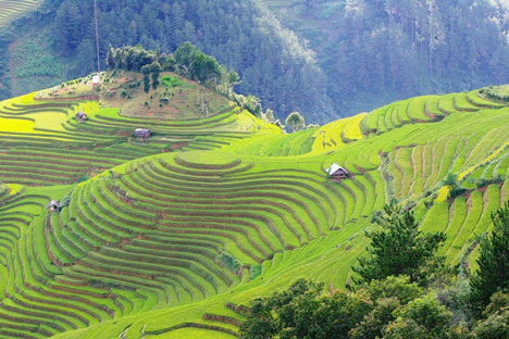 Northwest Vietnam Hill Tribes Explore tour