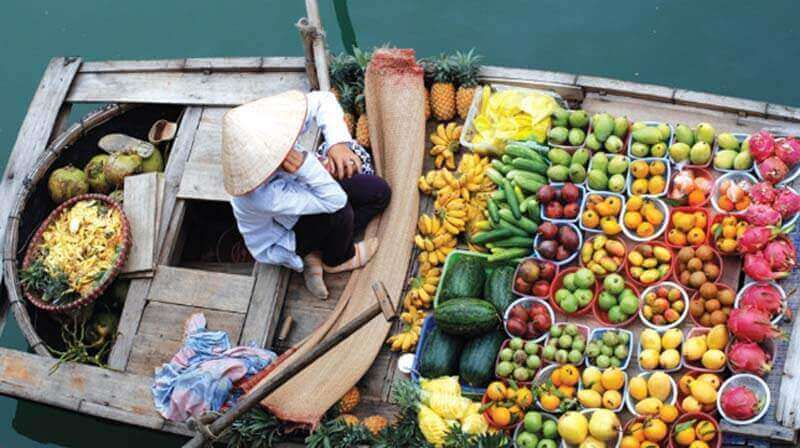 Mekong Delta