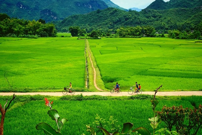 Pom Coong Village