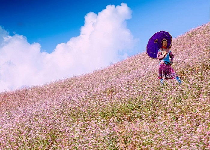 Ha Giang Extraordinary Panorama in 4 days