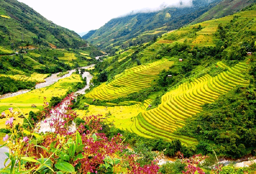 Sapa Travel Guide: Muong Hoa Valley