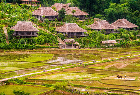 Northwest Vietnam Discovery 10 Days Tour