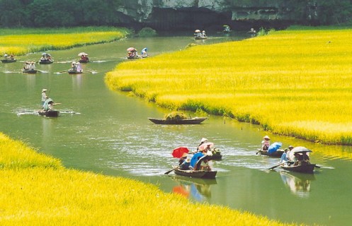 Red River Delta Excursion for Family in 7 Days