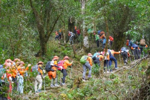 Fansipan trekking route