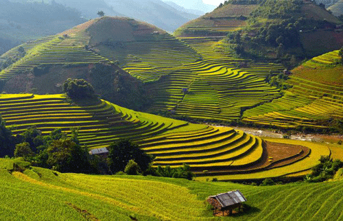 Sapa - Summer in Vietnam