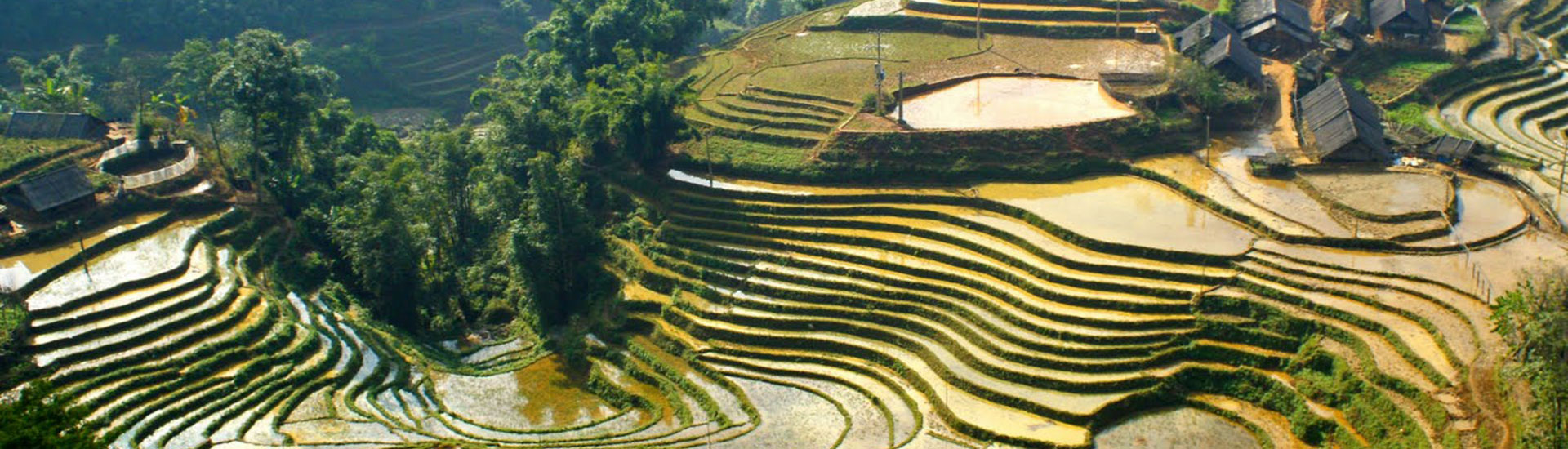 HaLong