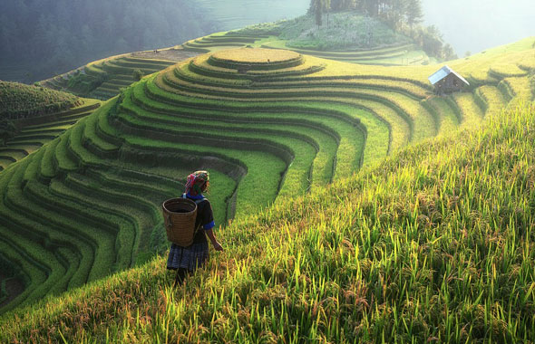 Sapa Mountain Biking