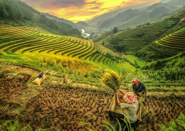 Sink into the Culture of Vietnam Tour in 10 Days