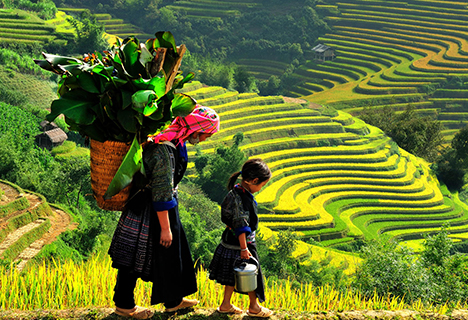 Sapa Easy Trekking Tour 2 Days 3 Nights