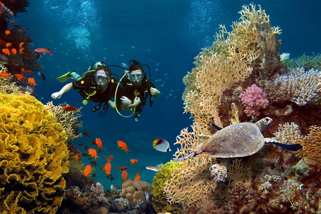 Scuba-diving in Nha Trang