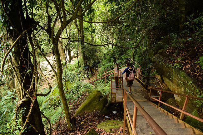 ukrudtsplante bundt handicap 10 Most Incredible Trails for Trekking in Cambodia 2020 - Paradise Travel