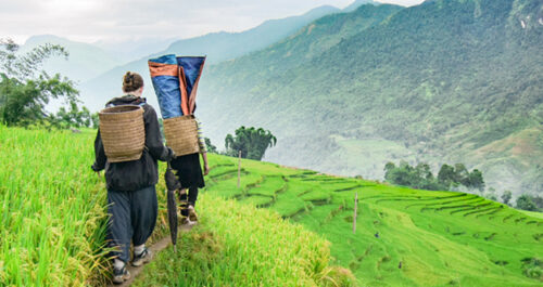 Trekking in Sapa