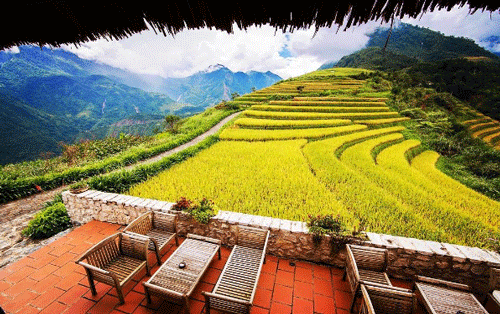 La somptueuse vallée de Muong Hoa, épicentre des plus beaux treks de Sapa