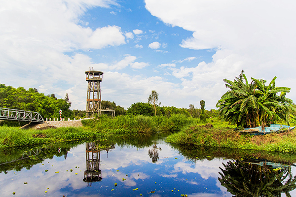 The lonely tower in U Minh Thuong National Park