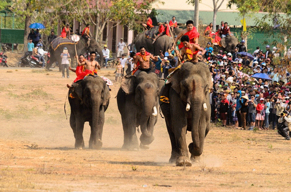 Vibrant atmosphere at Elephant Racing festival