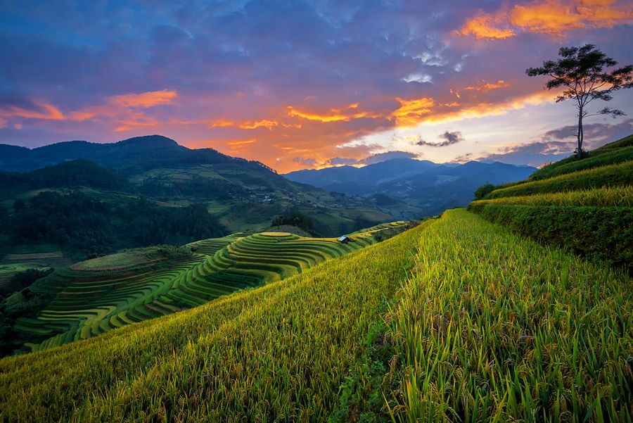 10 Essential Things to Know Before Travelling to Vietnam