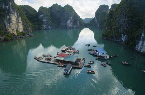 Fermes perlières et radeaux flottants à Vung Vieng